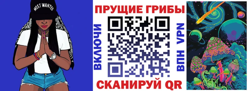 Купить закладки  Славгород  Галлюциногенные грибы MAGIC MUSHROOMS 