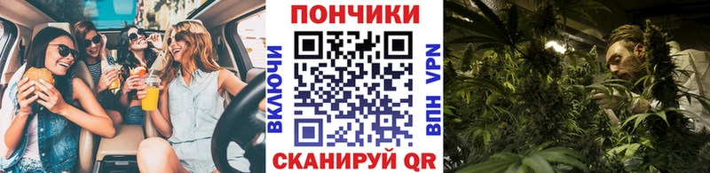 Купить закладки  Славгород  Марихуана VHQ 